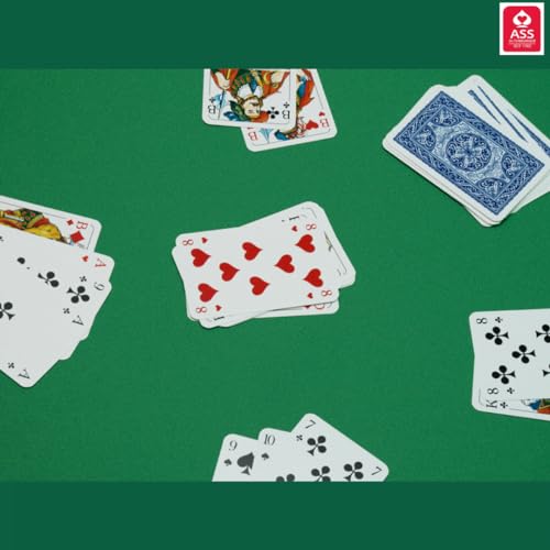 Kartenspiel für Erwachsene Spielkarten Romme Profiqualität für Bridge Canasta Poker Skat Kartendeck 55 Blatt BLAU und ROT (4-Deck) – Bild 7