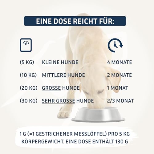 PetFokus Vital Formel Plus | unterstützt Verdauung, strahlendes Fell, Energie & Vitalität | Futterergänzung für Hunde | Vitamine, Mineral- & Pflanzenstoffe I Probiotika & Omega-3 | leckerer Geschmack