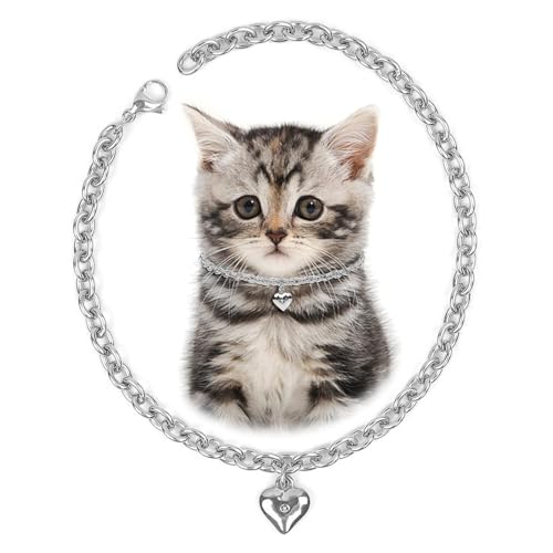 Image of HOWWFALY Dog Collar and Cat Chain Necklace Stainless Steel Adjustable 18K Sliver Heart-Shaped Necklace for Small Pets Cats Kitten Puppy (Sliver, 7 inch)