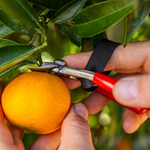 FELCO 330 - Citrus Clipper - Tijera para Fruta miniatura 4