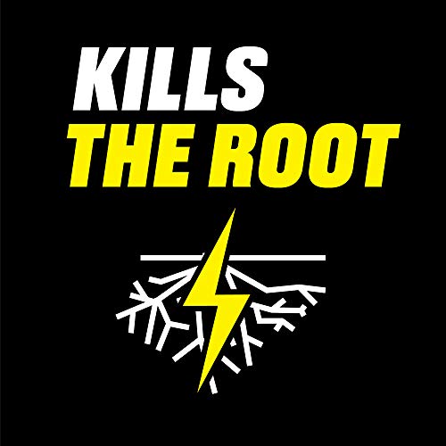 image for Ortho GroundClear Poison Ivy and Tough Brush Killer1 - Concentrate, Ma