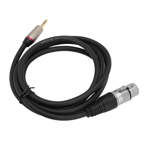 Bewinner Cable Adaptador Jack 3.5mm a XLR Hembra miniatura 4