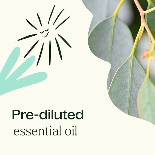 Aceite Esencial Roll-On Eucalipto 10 mL miniatura 2