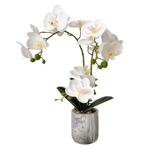 Wenhuidr Künstliche Orchideen in Topf Biegsame Faux Orchideen Waschbare Seiden-Orchideen Phalaenopsis Dekoration für Zuhause Hochzeitstisch Zentrumspflanze Badezimmer Büro (1 weiß)
