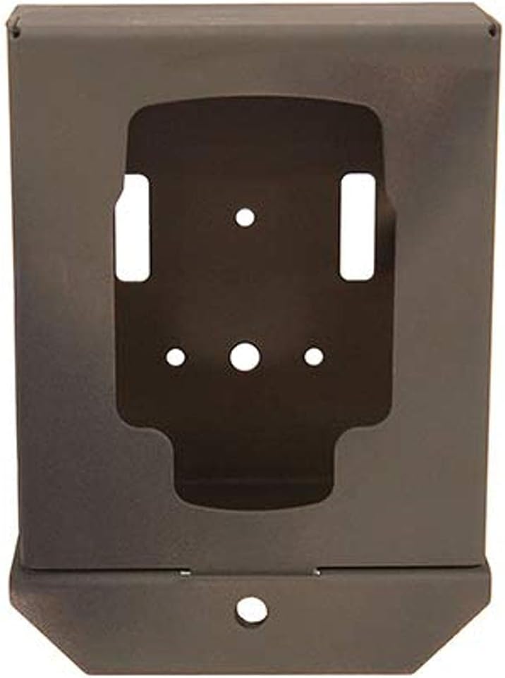 DLC 2502 Bear Safe, MP Series(Includes Padlock)