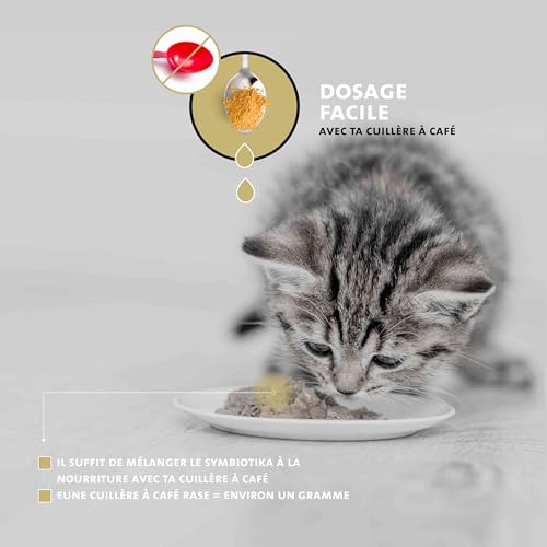 Chats Prébiotiques & Probiotiques, Renforcer Système Immunitaire, Assainir Intestins, Flore Intestinale, en Cas d'allergies, avec Le Complexe innovant Corvitalis® - petCat Health 3501 – Image 6