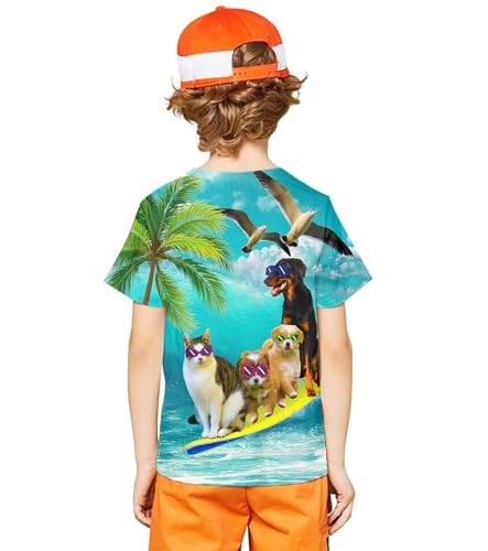 Image of LAIDIPAS Boys Girls 3D Graphic T-Shirt Short Sleeve Tops Tees 6-16 Years