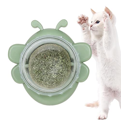 Wandkugel Katzenminze, Spielzeug Wand mit Kugel, Rolle Katzenminze in Bienenform zum Lecken von Katzen, Leckereien Wand für Katzen, Bio-Spielzeug für