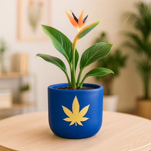 Image of Urban Plant Terracotta Pot - Trendy Planter for Modern Home & Garden Spaces (Bluesphere Terracotta Pot - Royal Blue)