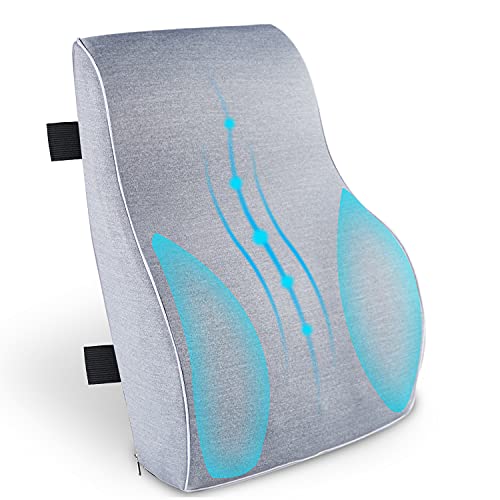 Lumbar Support Pillow for Office Desk Chair-Premium Memory Foam Back Cushion for Computer,Gaming Chair,Car Seat,Wheelchairs and Recliner with Breathable Mesh Cover and Adjustable Straps( LightGray)