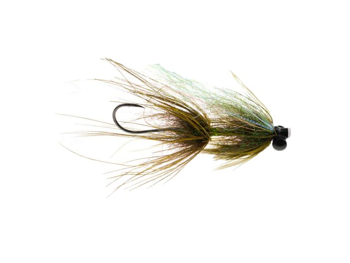 Jeremiah's Little Invader - Olive