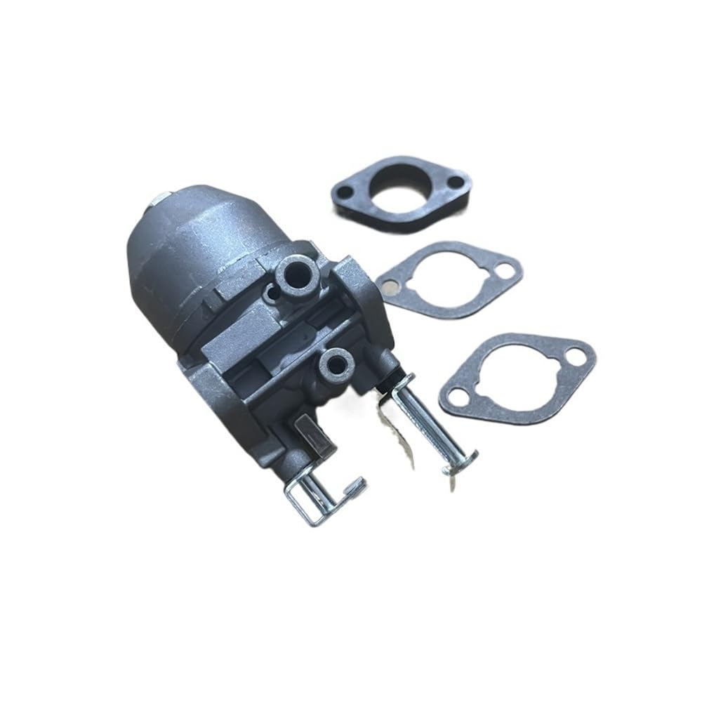 Carburateur pour Motoblock B&S Vanguard 7,5 CV avec joint inclus C120571