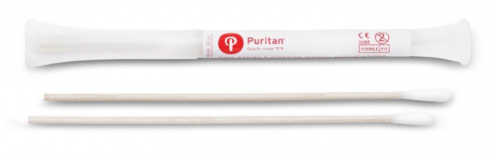 Puritan Cotton DNA / RNase Sterile Free Tipped Applicator with Polypropylene Shaft, Large Foam Tip (Case of 500)