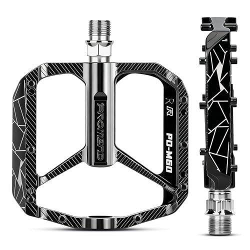 SYACHI(V`) ]ԃy_ }EeoCNy_ ~߃st 9/16C` A~jE ]ԃy_ MTB [hBMXoCNp - ChpbgtH[ & y ubN