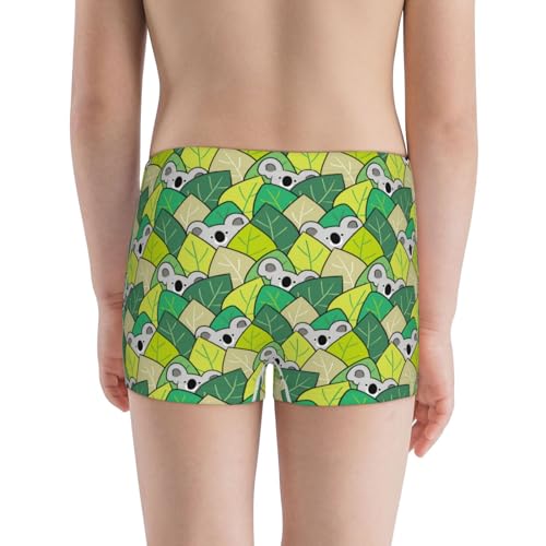 Boys' Cotton Boxer Brief Soft Underwear-Cartoon Koala Bear And Leaf3