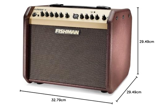 FISHMAN LOUDBOX MINI with Bluetooth PRO-LBT-500 の商品画像 2
