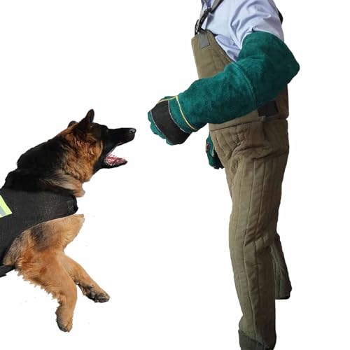 KLYDBMYT Combinaison Anti-Morsure de Chien, vêtements de Protection pour l'entraînement des Chiens Militaires, vêtements de sécurité renforcés pour l'entraînement aux morsures de Chien, AL