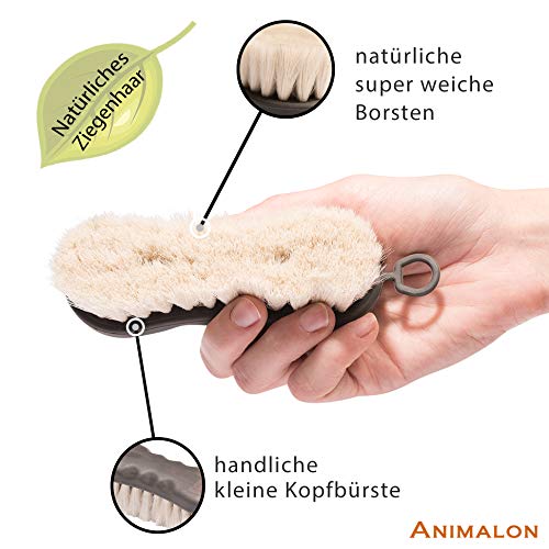 Animalon Ziegenhaar-Bürste | weiche Glanzbürste für Pferde | Schmuse-Bürste fürs Pferd | Staubbürste | Kopfbürste fürs Pferd | Pferde-Zubehör für Jede Putzbox | Pferdebürste | Kopfbürste | Putzzeug