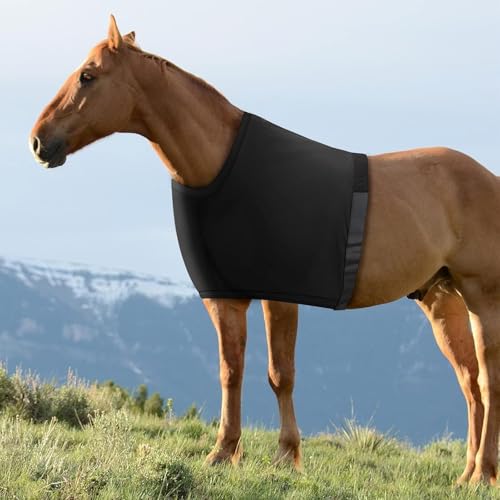 Sleezy para caballo transpirable ideal para transporte y descanso en box 6