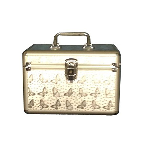 Grande boîte de rangement pour maquillage et produits de beautés Silver #4 27*18*18cm Cover