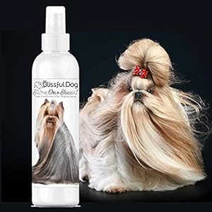 the Blissful Dog Shineon + Sheen Coat Dog Spray Easttouse Dog Conditioner Sensitive Skinfriendly Leavein Conditioner for Dogs Detangler Spray 8 Oz  Cucciolini Doodles The blissful dog shine on + sheen coat dog spray east to use dog conditioner sensitive skin friendly leave in conditioner for dogs detangler spray 8 oz   cucciolini doodles