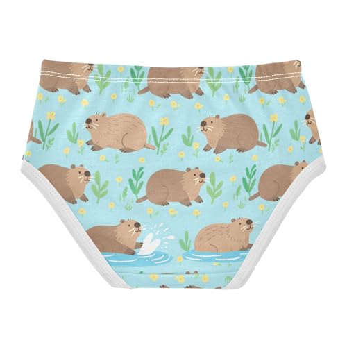 GuoChe Briefs Elastic Waistband Panties Organic Cotton Toddler Underwear for Toddlers in Sizes 2T,3T, 4T, 5T, 6Y and 8Y2