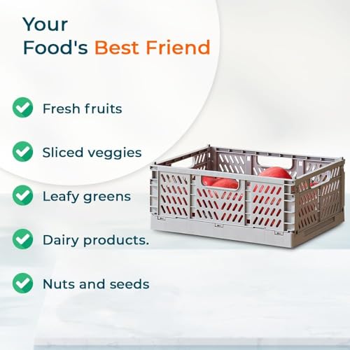 Image of Kuber Industries Large Refrigerator Storage Crisper /Fridge Container without Lid (Grey)
