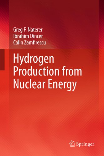 Hydrogen Production from Nuclear Energy (Lecture Notes in Energy Book 8)