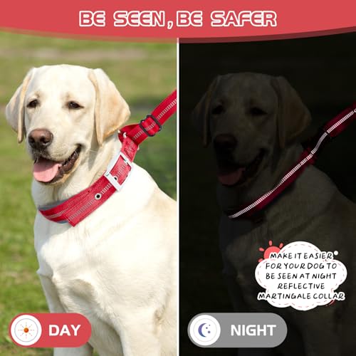 Duckygoo Hundehalsband, kein Ziehen, verstellbares Martingal-Halsband für kleine, mittelgroße und große Hunde, reflektierend, strapazierfähig, Trainingshalsband für Spaziergänge, Jagd, Rot, Größe S