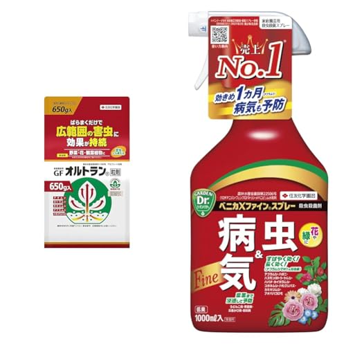 【セット買い】住友化学園芸 殺虫剤 家庭園芸用GFオルトラン粒剤 650g+ベニカXファインスプレー 1000ml