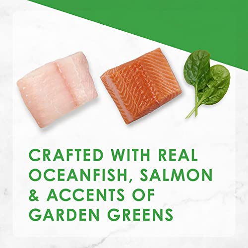 Fancy Feast Gourmet Dry Cat Food (3) Flavor Variety Pack (Filet Mignon, Ocean Fish And Salmon, Chicken And Turkey) Plus Aurora Pet Catnip Toy #TOP2