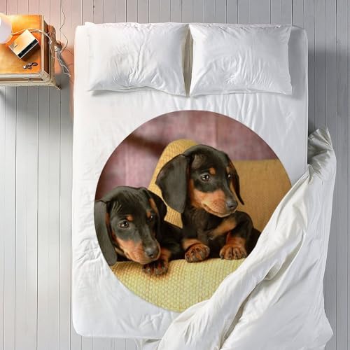 Couverture polaire imprimée motif teckel, le cadeau idéal pour amoureux des chiens