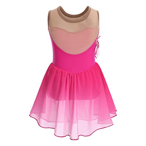 Afavom Figure Skating Dress For Girls Sequin Flower Mesh Ice Skating Dress Ballet Dance Leotard Dress Chiffon Skirted Ballerina Dancewear For Competition Stage Performance Costume Hot Pink 7-8 Years thumb #1
