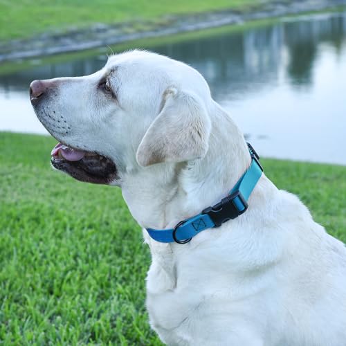 Image of Dogline Biothane Waterproof Dog Collar with Quick Release Buckle Strong Coated Nylon Webbing with Odor- Proof for Easy Care Easy to Clean Fits Small Medium or Large Dogs, Dogline Blue 3 /4 inch W 12-19 inch L