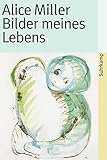  Bilder meines Lebens (suhrkamp taschenbuch)