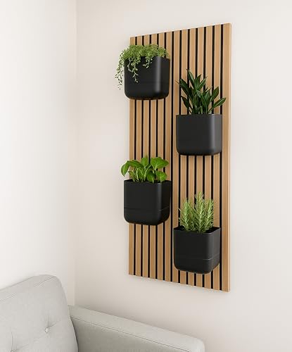 Phoenix Vine 6.5-Inch Wall Mounted Self-Watering Planter Pot for Indoor Houseplants and Herbs | Modern Hanging Planter for Window Sills, Bathroom Walls, Home & Office Dรฉcor, Black, Set of 3, 01-WP-B-3
