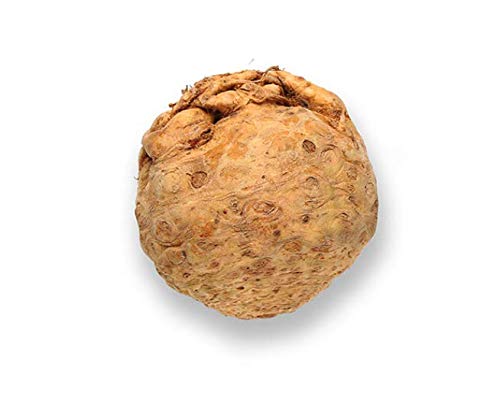 NRTC Fresh Celery Root (Netherland)