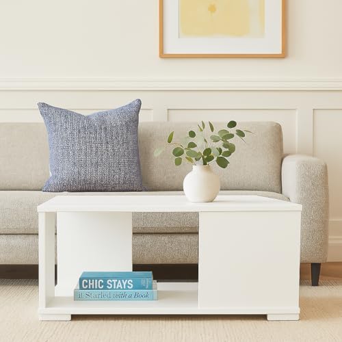 Image of MATTERHORN Linea Coffee Table - Modern Engineered Wood Center Table with Storage Shelf, Ideal for Living Room, Tea Table - DIY Assembly, Compact Design (80 x 40 x 40 cm, MOCT-R92113) (White Mist)