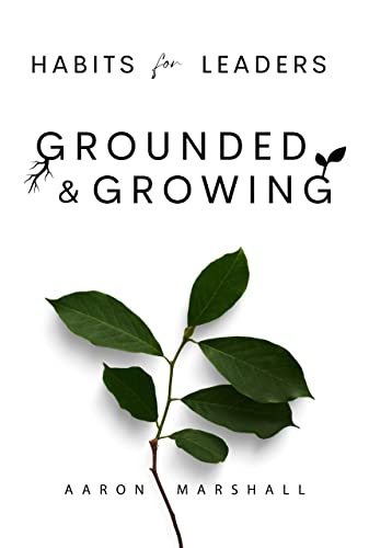 Cover of Habits for Leaders, Grounded and Growing: 20 Habits for Executive Leadership