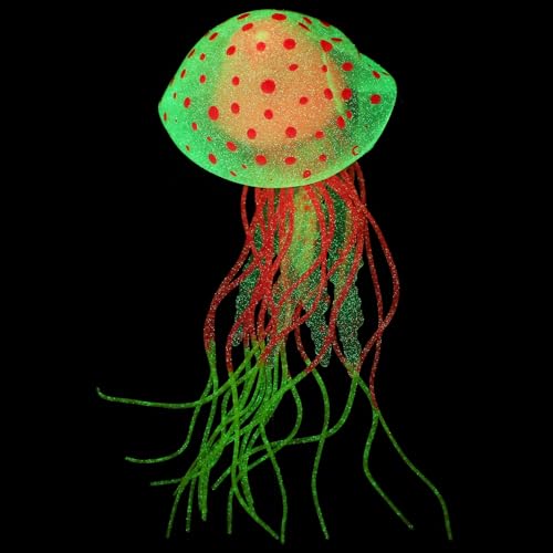 DEARMAMY VR킢NQ p i ƂكI[ig ƐAɗD^sN