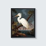 HomeArtPrint Egret Poster