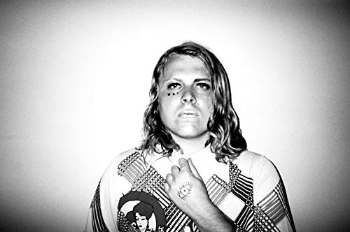Ty Segall Band