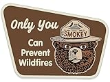 Smokey Bear Brown Sign Shaped Only You Can Prevent Wildfires Sticker (smoky decal vinyl camp hike for car truck rv or laptop (3 x 4 inch) Licensed