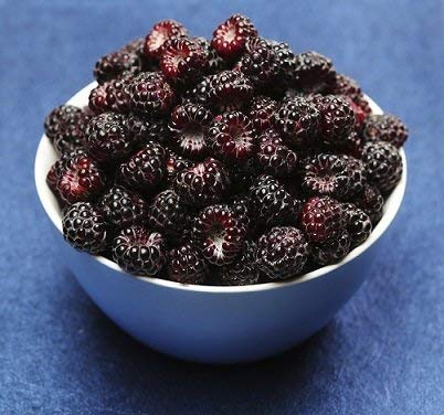 Northwest Wild Foods Fresh Frozen Black Raspberries By Northwest Wild Foods thumb #3