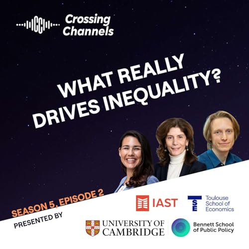 Page de couverture de What really drives inequality?