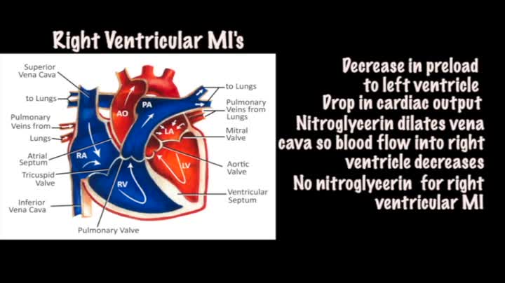 Tintinalli's Emergency Medicine: A Comprehensive Study Guide