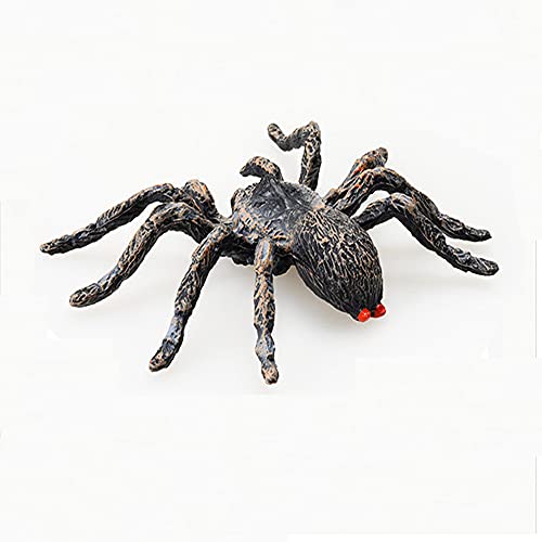 Artificial Spider Halloween Decoration Simulated Spider Model Realistic Plastic Spider Educational Learning Toys Spider Lover Gifts (2 Pc) #TOP5