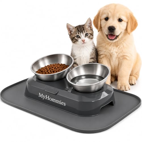 Ciotola Gatto Rialzata e Inclinata 15°, Doppia Ciotola Anti Vomito per Gatti e Cani Piccoli, Acciaio Inox 304, Antiscivolo con Tappetino in Silicone, MyHommies