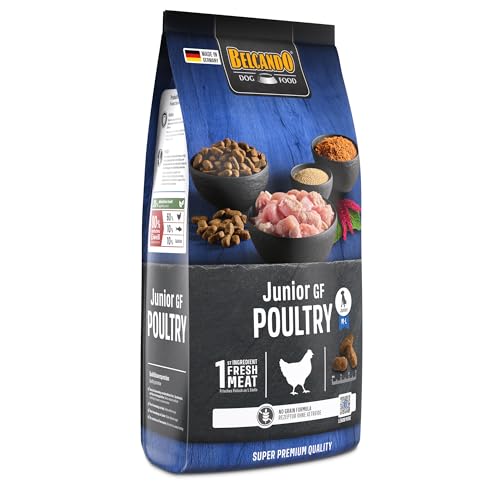 BELCANDO Junior GF Poultry [1 kg] getreidefreies Hundefutter | Trockenfutter ohne Getreide für Junge Hunde… – Ansicht 2