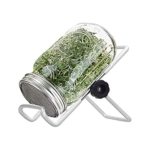 Dorccsi Kit de germinación de Semillas en tarros Mason con Tapa y Soporte para Cultivar brócoli, Alfalfa y brotes de Soja (500 ml)